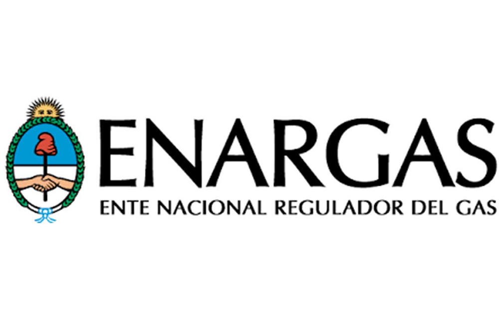 Decreto 311/2020